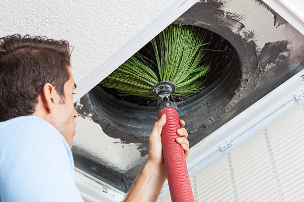 Best Emergency Air Duct Cleaning  in Wellington, UT
